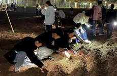 suncitygroup太阳集团