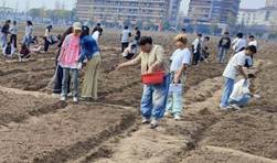 suncitygroup太阳集团