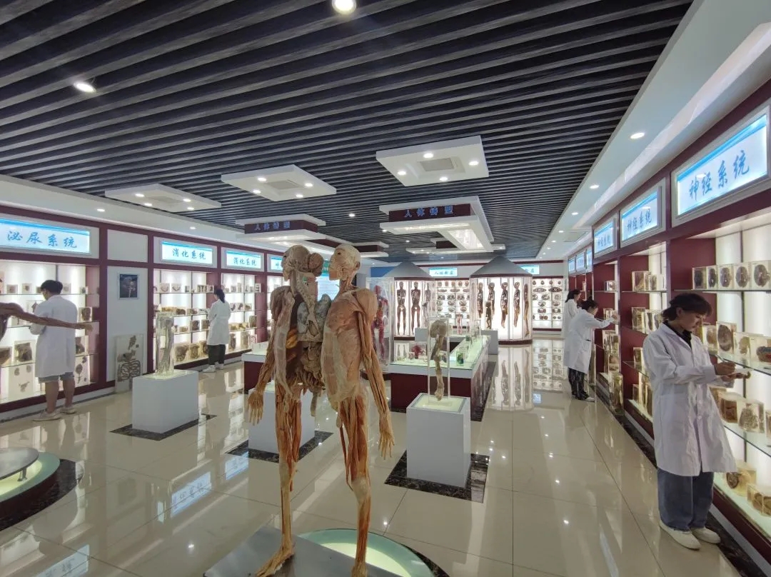 suncitygroup太阳集团