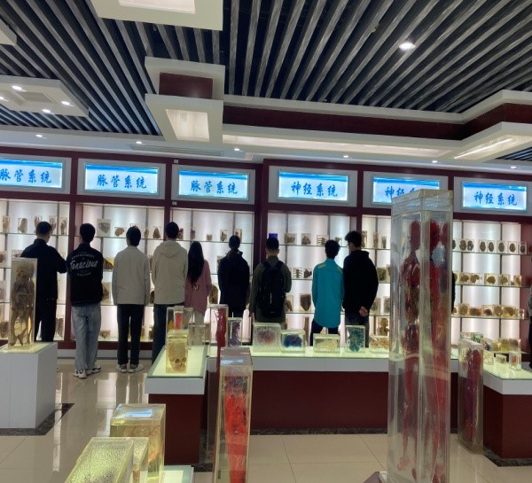 suncitygroup太阳集团
