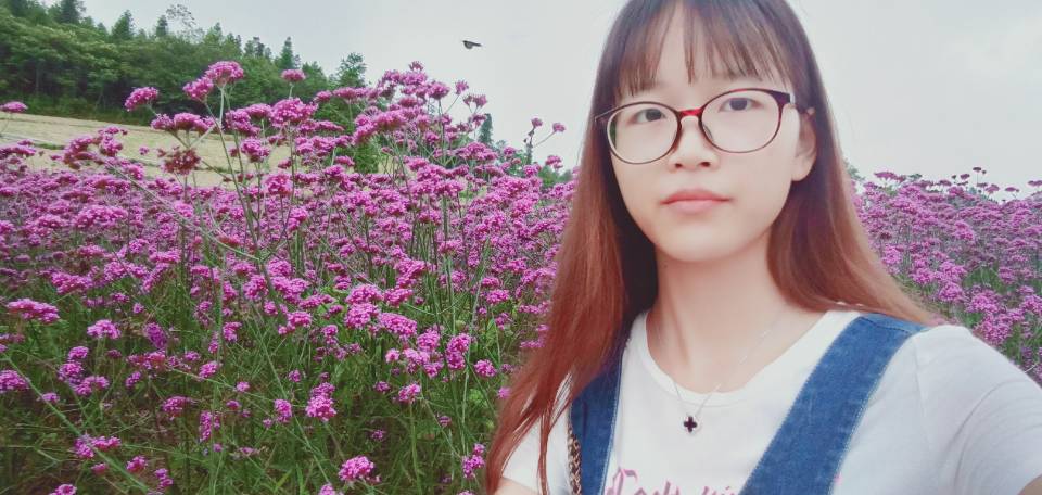 suncitygroup太阳集团