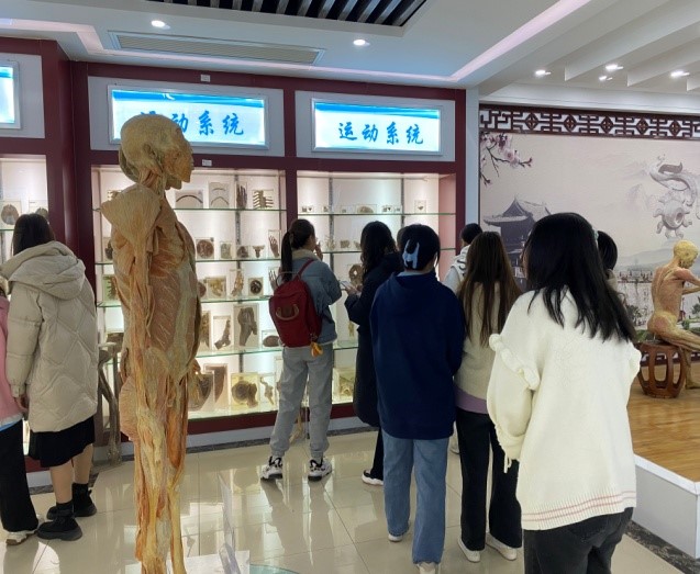suncitygroup太阳集团